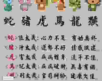 春回大地代表什么生肖？详解谜底背后的生肖文化！
