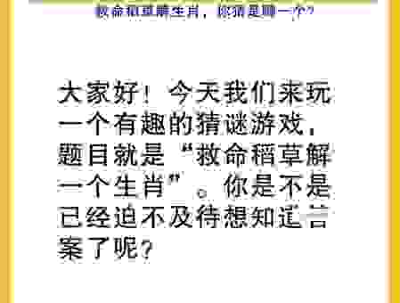 十米九糠打一最准确生肖是什么?快来看看谜底解析!