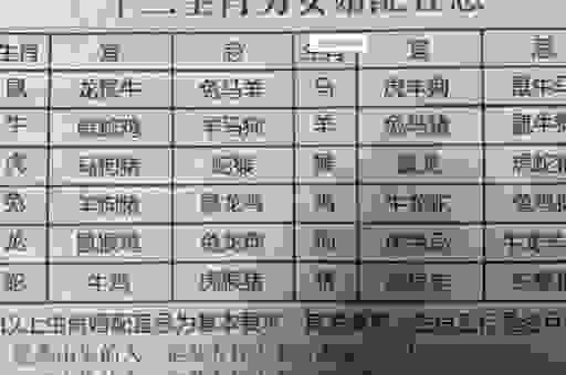重城回首天连碧指是什么生肖？这几个生肖的可能性最大！