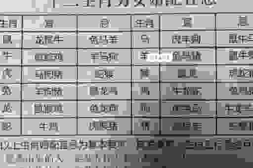咸阳一炬打一最佳精准生肖分析，教你如何精准猜生肖！