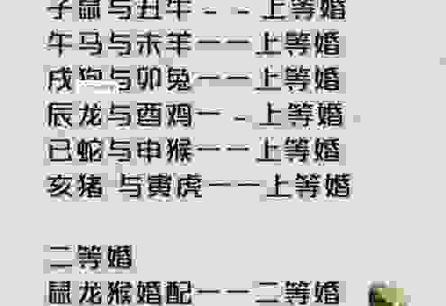 截鹤续凫是什么生肖?老辈人分享的猜生肖小技巧!