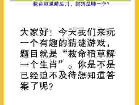 作金石声打一肖怎么猜?这几个思路助你快速解开谜底!