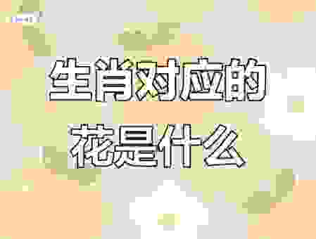 问柳寻花值春宵是指什么生肖?快速了解这个词语代表的生肖!