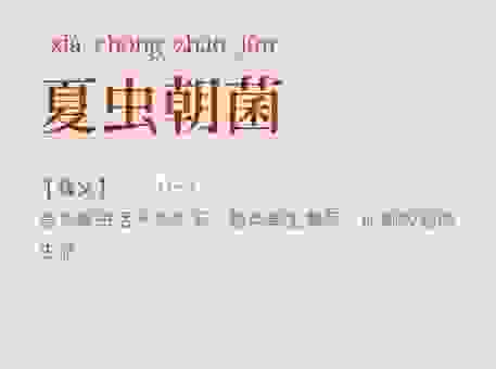 成语夏虫朝菌的意思解析，教你如何在日常生活中运用！