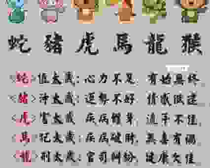 要害之地打一最准确生肖是哪个？这个答案竟然如此有趣