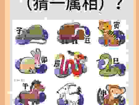 置诸高阁指的是什么生肖?详解成语含义并揭晓生肖谜底