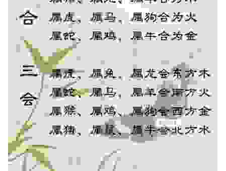 千山万水总是情指的是哪个生肖？带你深入分析生肖中的情感！