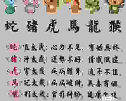 猜猜千岩竞秀是什么生肖？这几个理由告诉你正确答案