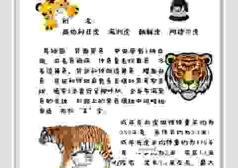 高卧东山是什么动物?带你揭秘成语背后的生肖谜底