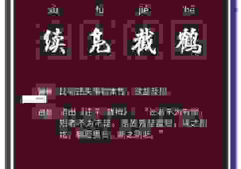 续凫截鹤指什么生肖？快速解析成语对应的生肖特征