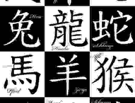 金貂取酒指的到底是什么生肖?详细解析背后隐藏的玄机