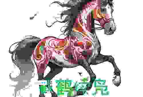 截鹤续凫打一动物的答案大全，快来看看是不是这个生肖
