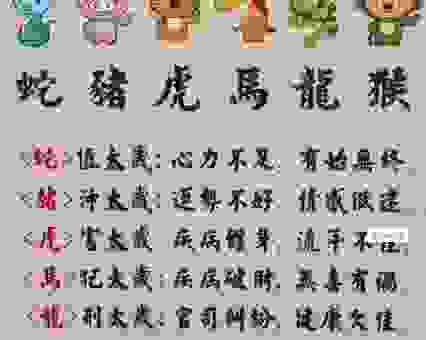 众醉独醒是指什么生肖？快来看看这种说法指的具体是谁