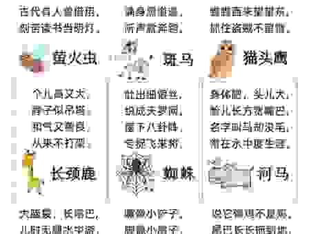 左右开弓准确答案动物是什么？深度解析这个谜题答案