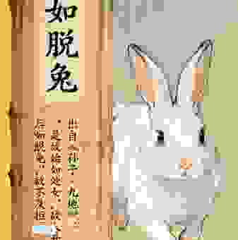 动如脱兔打三个数字怎么猜？老玩家分享解谜经验心得！
