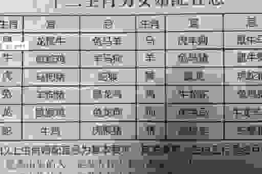 一碧千里指的是什么生肖?这三个生肖可能性最大