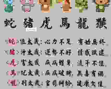 三心二意打一个正确生肖？带你揭晓谜底背后的答案！