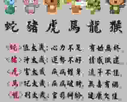 前程似锦打一个正确生肖谜底揭秘，原来寓意这么好！