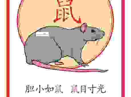 尔诈我虞是什么生肖?带你揭秘这个成语背后的生肖