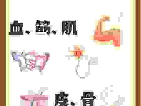五体投地指的是哪五体？很多人都猜错了快来看看吧