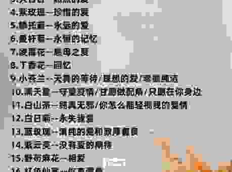 收到花别乱猜!1一100送花的含义帮你快速解读!