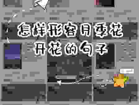花好月圆是什么意思?解析这个词在生活中的用法