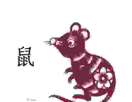 虎头虎脑是什么生肖?老辈人常说的生肖原来是它