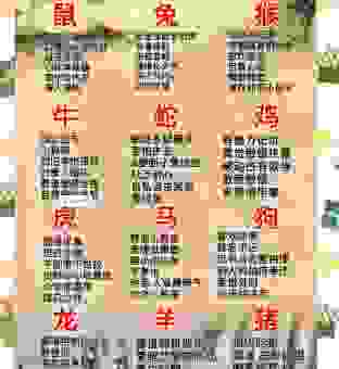 大肆吹捧打一动物生肖？看完分析你就知道答案了！
