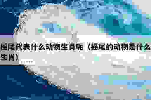 谜语摇头摆尾打一最佳生肖!这几个生肖其实最符合形象!