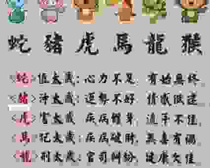 谜语摇头摆尾打一最佳生肖！这几个生肖其实最符合形象！