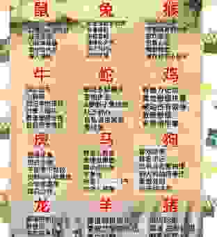安然无恙打一生肖是什么？带你分析生肖内涵！