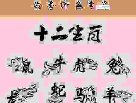 一如既往是什么生肖?民间流传的说法原来是这几个!