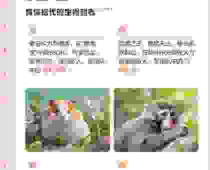 威名四方是什么生肖？这几个生肖不仅霸气更有实力