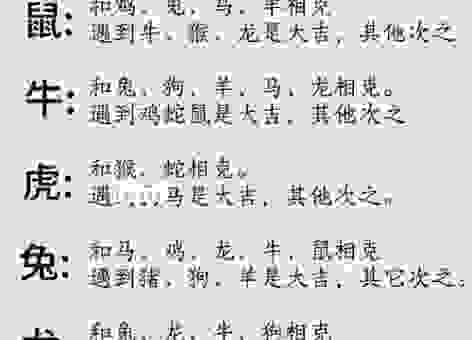 断章取义打一个生肖的答案,深度解析其中的含义!
