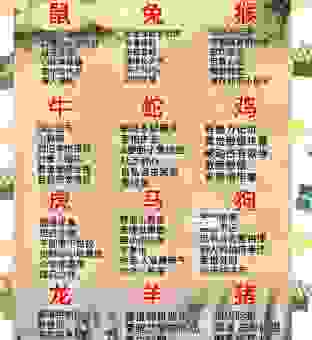 断章取义打一个生肖的答案，深度解析其中的含义！