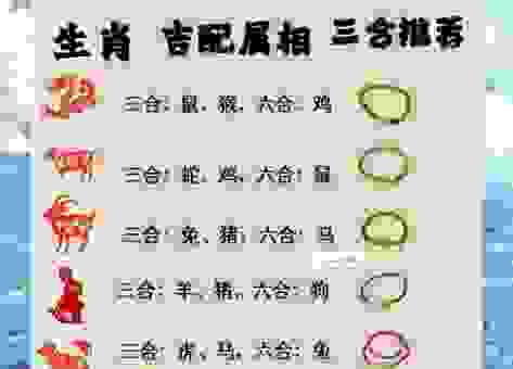 青藏高原是指什么生肖?这几个生肖的可能性最大!