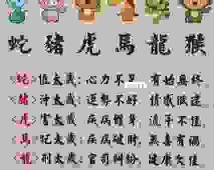 心如刀割是什么生肖呢?专家深度解析这背后的含义!