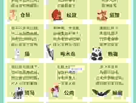 谜语泼水难收是什么生肖？带你深入分析生肖小知识