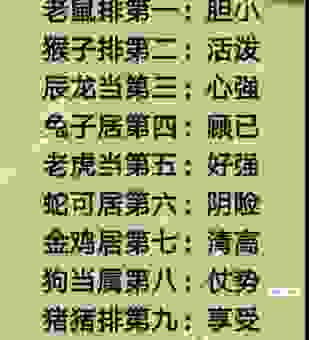 翻来覆去指哪个生肖?带你从不同角度解读生肖特点!