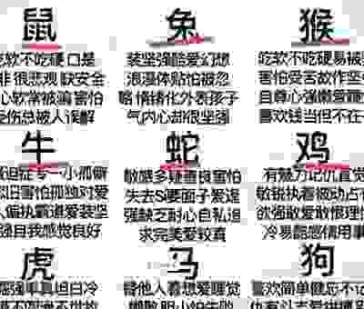 坐观成败是指什么生肖?详解这个生肖背后的含义!