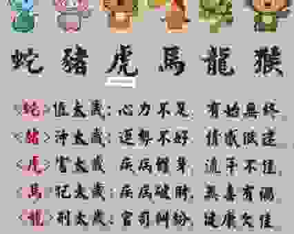 天下独孤打一生肖是什么？这几个生肖的可能性最大！