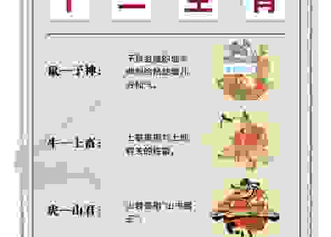 一举两得猜一生肖是什么生肖?看完这个解析你就明白了!