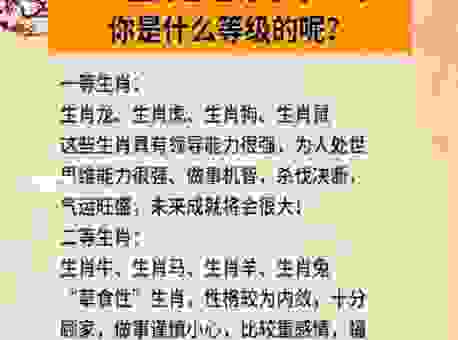 威风凛凛的生肖大排行,看看你的属相是否榜上有名!