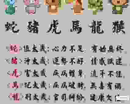 云游天下代表什么生肖？这些生肖最符合这种性格！