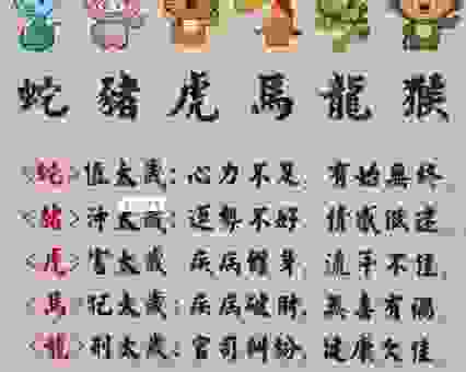 想知道飞黄腾达的动物是什么生肖?分析生肖运势助你成功!