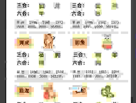 果如其言是代表指什么生肖？带你解开这个谜题！