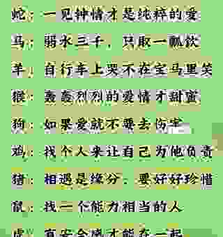 柔情似水是什么生肖？揭秘性格最温柔的几个生肖