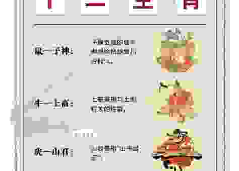 万古长青打一最佳生肖，这三个生肖的寓意最贴合！