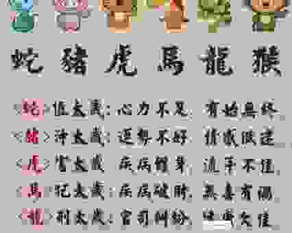 身先士卒是什么生肖最准确？老一辈流传下来的生肖解读！