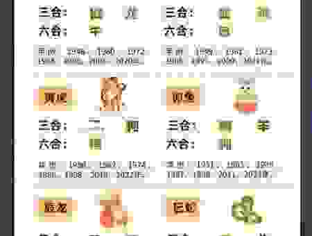摆八卦阵是什么生肖？看完这个解释你就彻底明白了